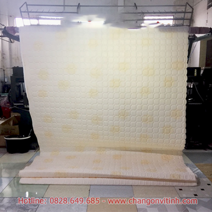 Mẫu Gia Công Chần Gòn Vi Tính 15